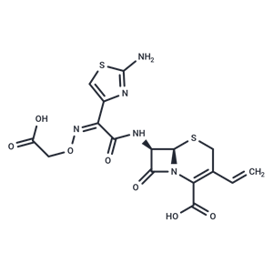 頭孢克肟|T0932|TargetMol