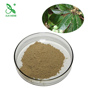 批把葉提取物,Eriobotrya Japonica Folium Extract