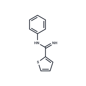 化合物 N-phenylthiophene-2-carboximidamide,N-phenylthiophene-2-carboximidamide