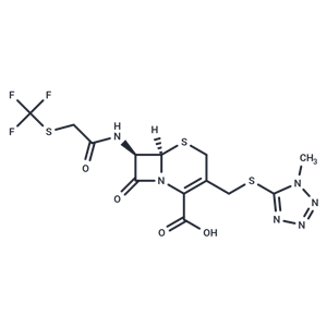 頭孢氮氟|T67977|TargetMol