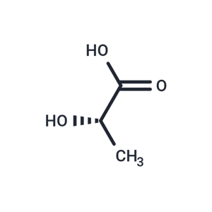 L-乳酸|T4845