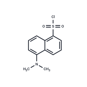 丹磺酰氯|T18967|TargetMol