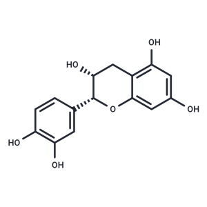 表兒茶素|T2856