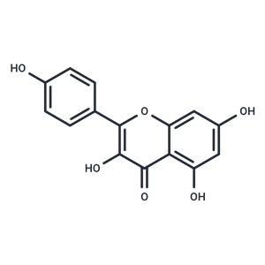 山奈酚,Kaempferol