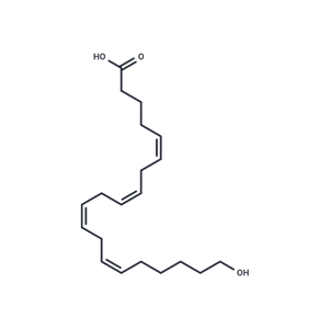化合物 20-HETE|T14021|TargetMol