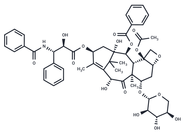 7-木糖甙-10-脫乙?；仙即?10-Deacetyl-7-xylosyl paclitaxel