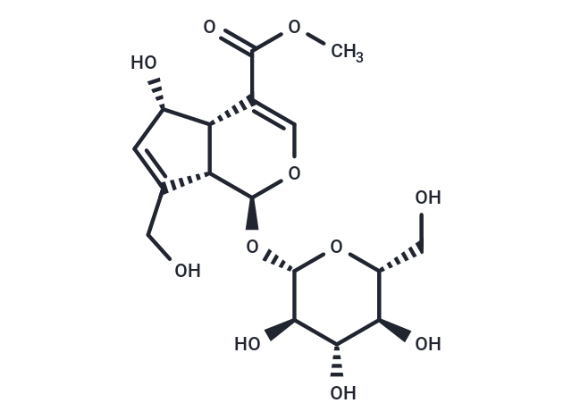 去乙酰車葉草苷酸甲酯,Methyl deacetylasperulosidate