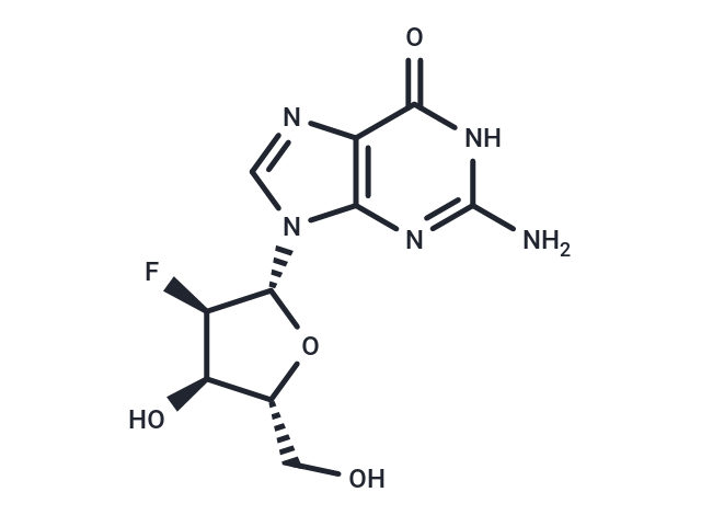 2'-脫氧-2'-氟鳥(niǎo)苷,2′-Deoxy-2′-fluoroguanosine