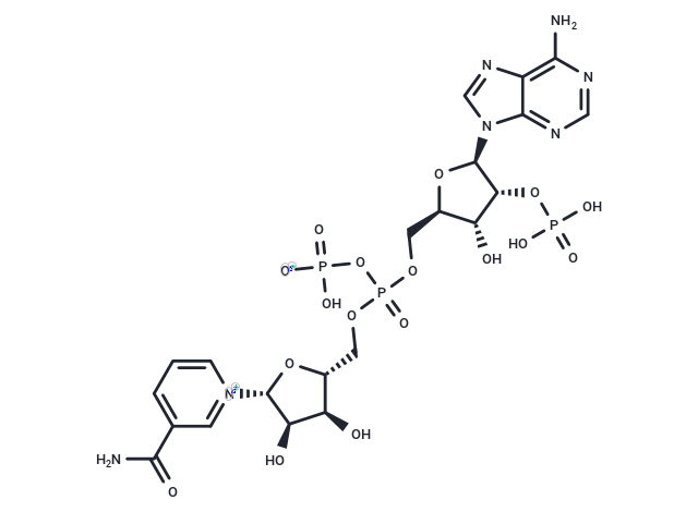 化合物 NADP,NADP