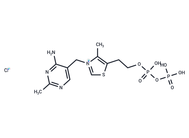 焦磷酸硫胺素,Thiamine pyrophosphate