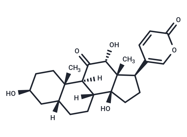 偽異沙蟾毒精,Pseudobufarenogin