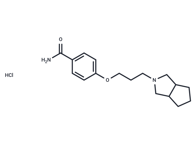 化合物 S 38093 HCl,S 38093 HCl