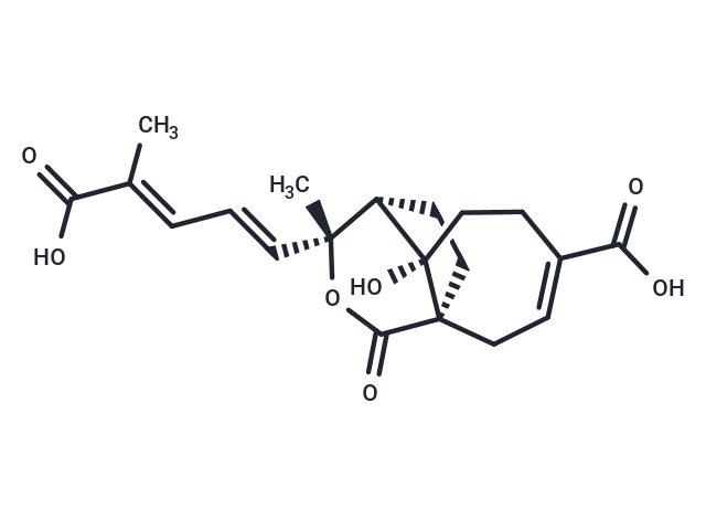 去甲氧基去乙酰氧基土槿甲酸 B,Demethoxydeacetoxypseudolaric acid B