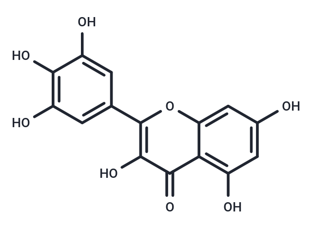 楊梅素,Myricetin