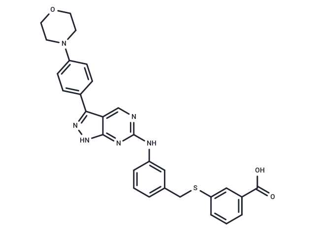 化合物 Myosin V-IN-1,Myosin V-IN-1