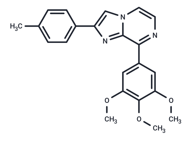 Tubulin聚合物抑制劑47,Tubulin polymerization-IN-47