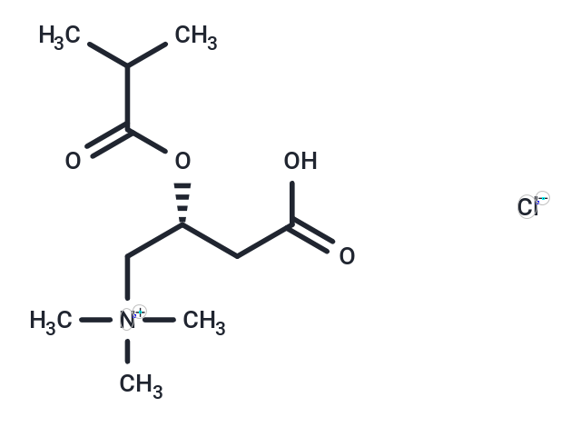 Isobutyryl-L-carnitine 氯鹽,Isobutyryl-L-carnitine chloride