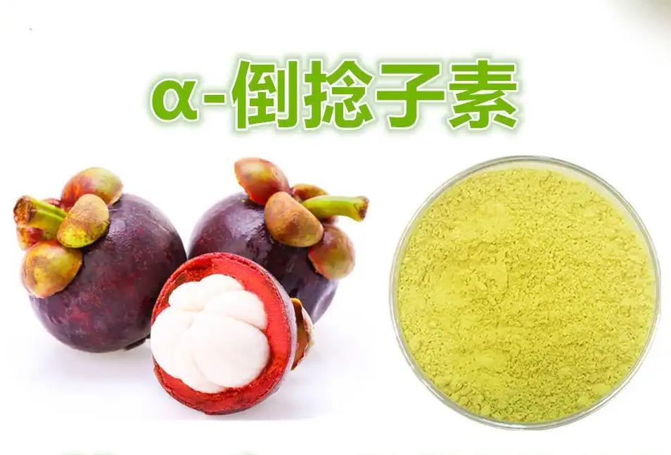 倒捻子素,Mangostine