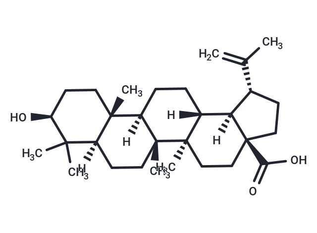 白樺脂酸,Betulinic acid