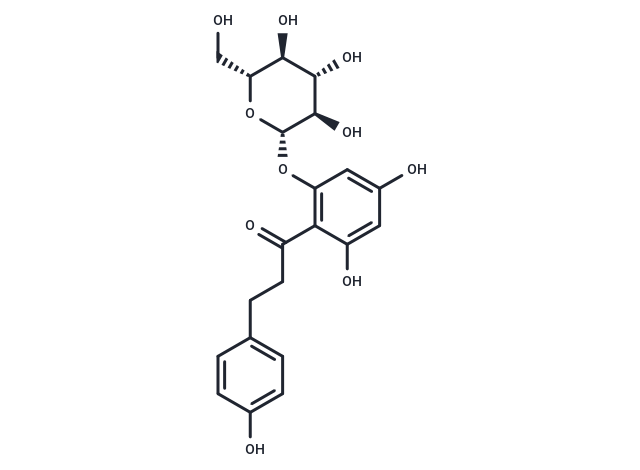 根皮苷,Phlorizin