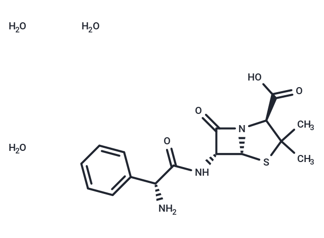 氨芐青霉素三水合物,Ampicillin Trihydrate