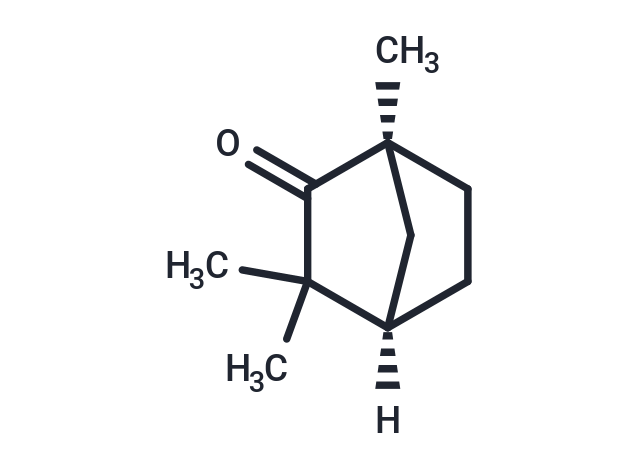 (+)-葑酮,(+)-Fenchone