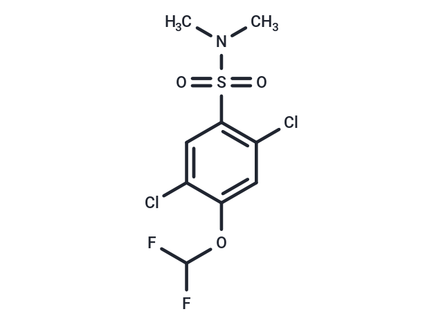 化合物 T50062,2,5-dichloro-4-(difluoromethoxy)-N,N-dimethylbenzene-1-sulfonamide