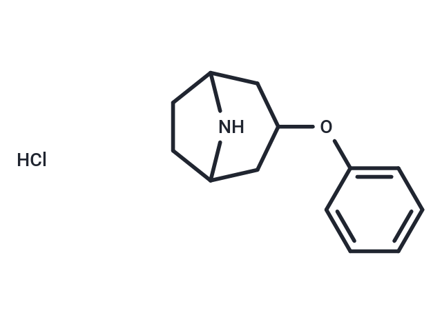 3-phenoxy-8-azabicyclo[3.2.1]octane 鹽酸鹽,3-phenoxy-8-azabicyclo[3.2.1]octane HCl