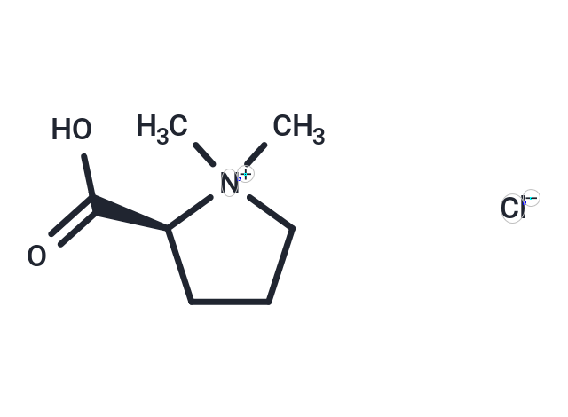 鹽酸水蘇堿,Stachydrine Hydrochloride