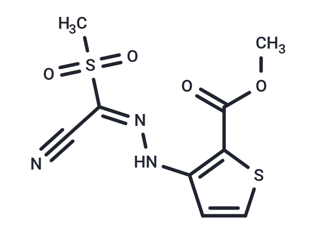 化合物 HIF-2a translation inhibitor,HIF-2α-IN-4