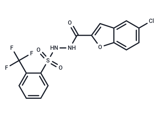 化合物 BCATc Inhibitor 2,BCATc Inhibitor 2