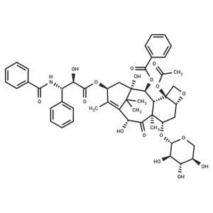 7-木糖甙-10-脫乙?；仙即?10-Deacetyl-7-xylosyl paclitaxel