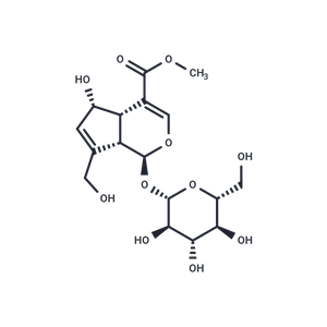 去乙酰車葉草苷酸甲酯,Methyl deacetylasperulosidate