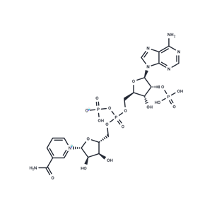 化合物 NADP,NADP
