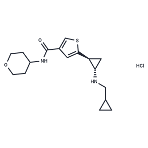 Anticonvulsant agent 10 鹽酸鹽|T39252L|TargetMol