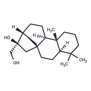 對映-貝殼杉-16Β,17-二醇,kauran-16,17-diol