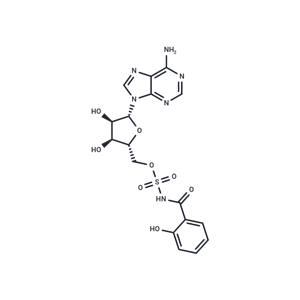 化合物 Salicyl-AMS,Salicyl-AMS