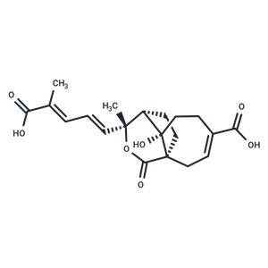 去甲氧基去乙酰氧基土槿甲酸 B,Demethoxydeacetoxypseudolaric acid B