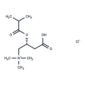 Isobutyryl-L-carnitine 氯鹽,Isobutyryl-L-carnitine chloride