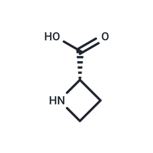 (S)-(-)-2-羧基環(huán)丁胺|TN6928|TargetMol