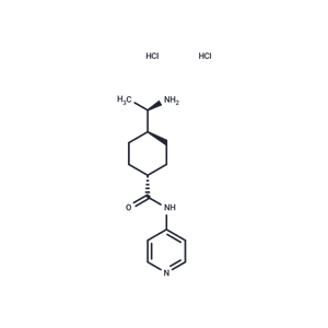 化合物 Y-27632 dihydrochloride|T1725