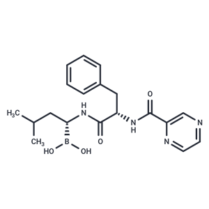 硼替佐米|T2399