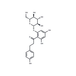 根皮苷,Phlorizin