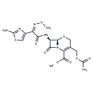 頭孢噻肟鈉|T0911|TargetMol