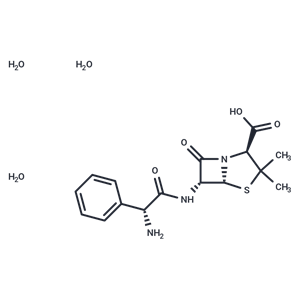 氨芐青霉素三水合物,Ampicillin Trihydrate