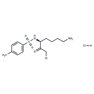 化合物 N-alpha-Tosyl-L-lysine chloromethyl ketone hydrochloride|T16169|TargetMol