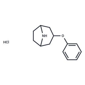 3-phenoxy-8-azabicyclo[3.2.1]octane 鹽酸鹽,3-phenoxy-8-azabicyclo[3.2.1]octane HCl