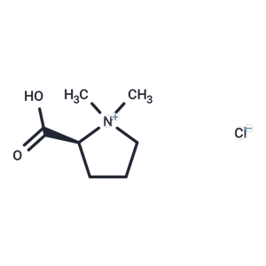 鹽酸水蘇堿,Stachydrine Hydrochloride