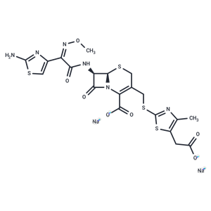 頭孢地嗪鈉,Cefodizime Sodium