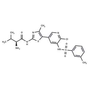 化合物 CHMFL-PI3KD-317|T10804|TargetMol